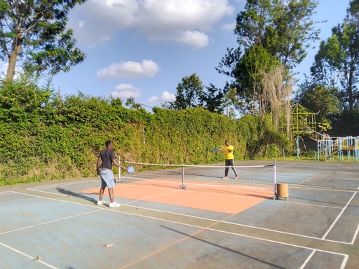 Pickleball Lesson (1 hour)