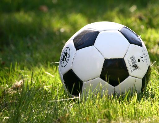 Soccer Lesson (1 hour)